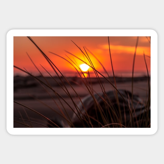 Orange sunset at the beach Sticker by blossomcophoto